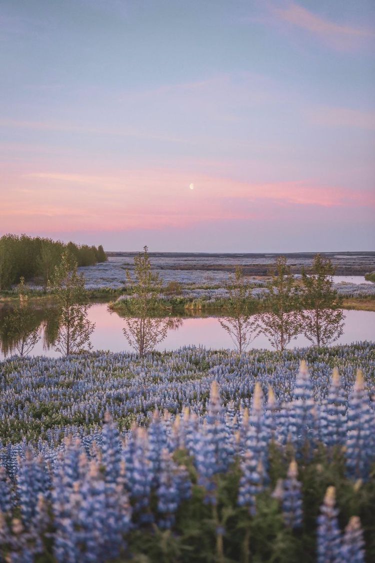 07-14-31-1625225507110862592