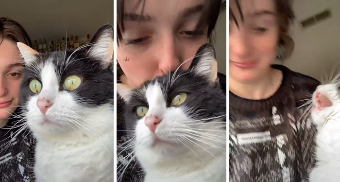 07-14-37-16268674761898228617