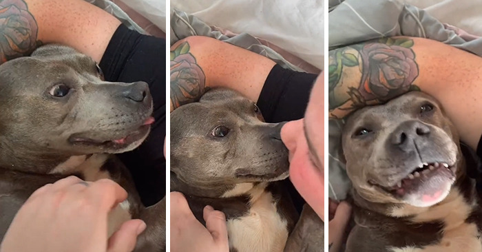 07-14-37-1626867477475822555