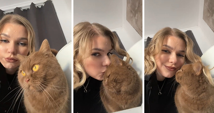 07-14-37-16268674781331295196