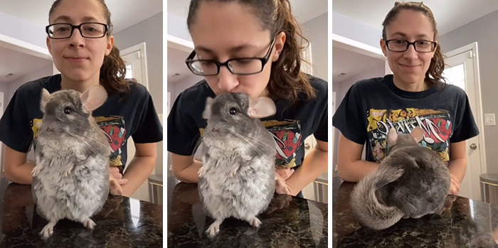 07-14-37-16268674781356738778