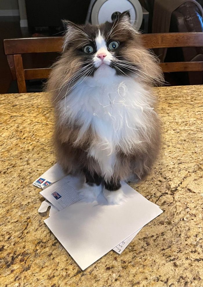 07-14-59-16262639501373672169