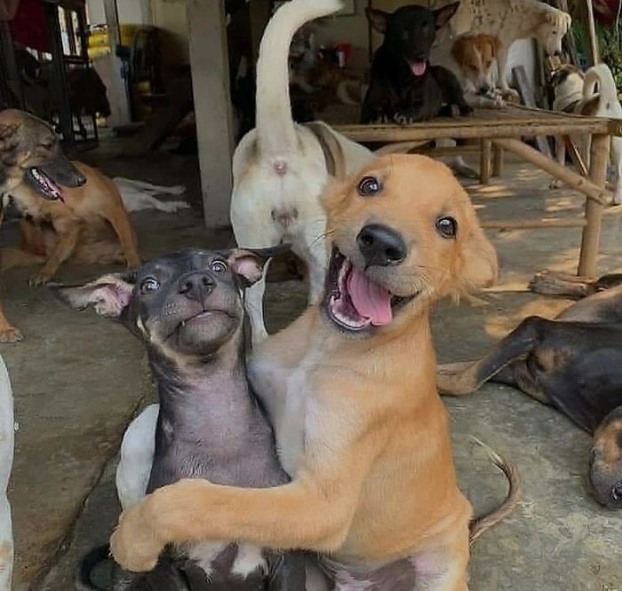 07-14-59-16262639521015434958