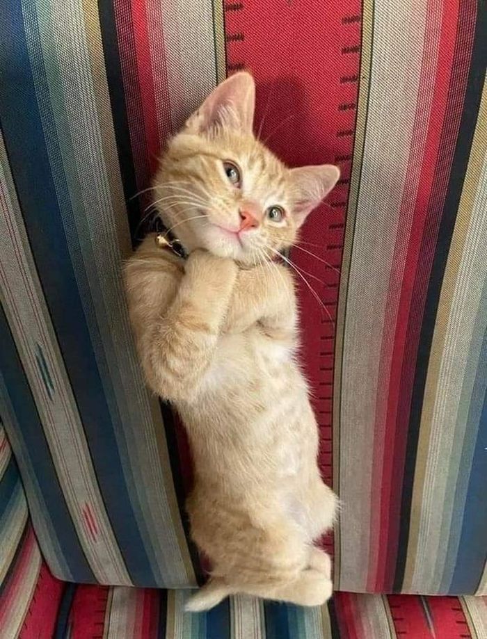 07-14-59-1626263961624350881