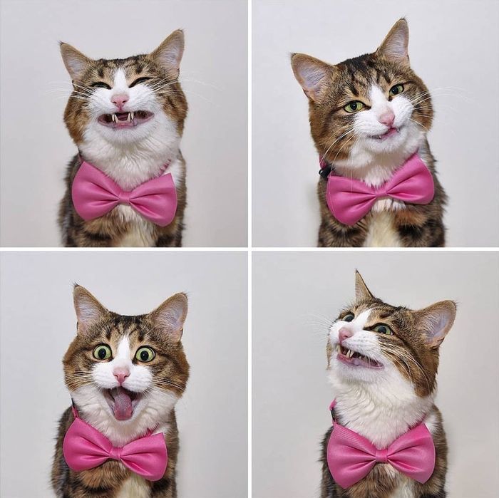 07-14-59-1626263978497273891