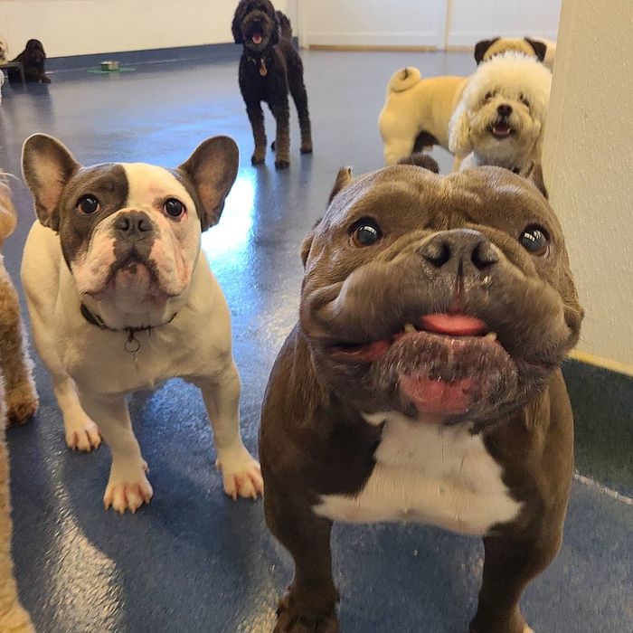 07-14-59-1626263981829168272