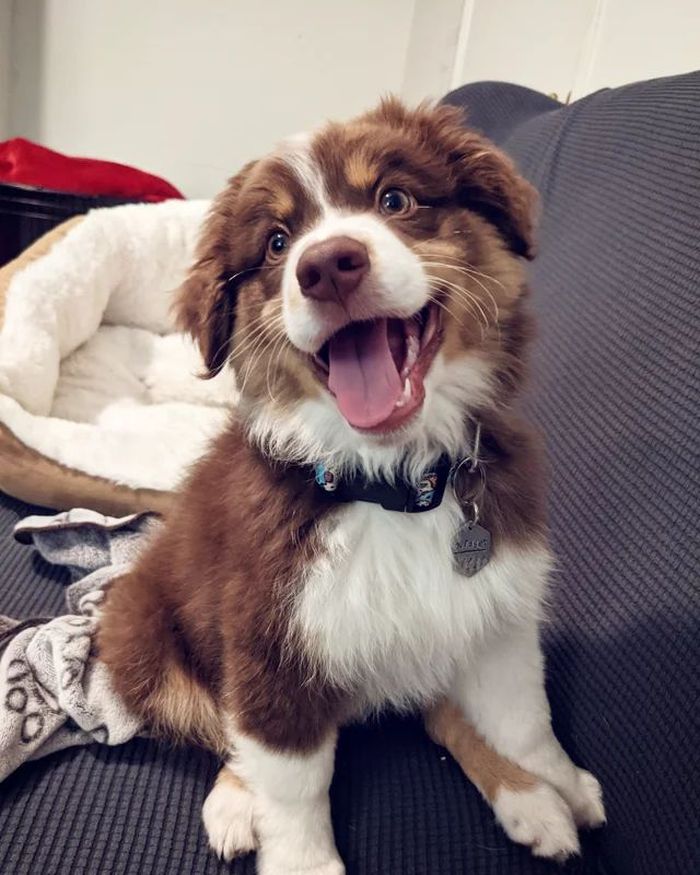 07-14-59-16262639981755565626