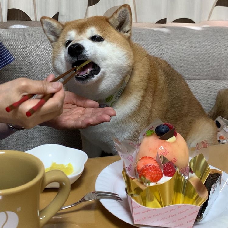 07-15-15-16254873381694307747