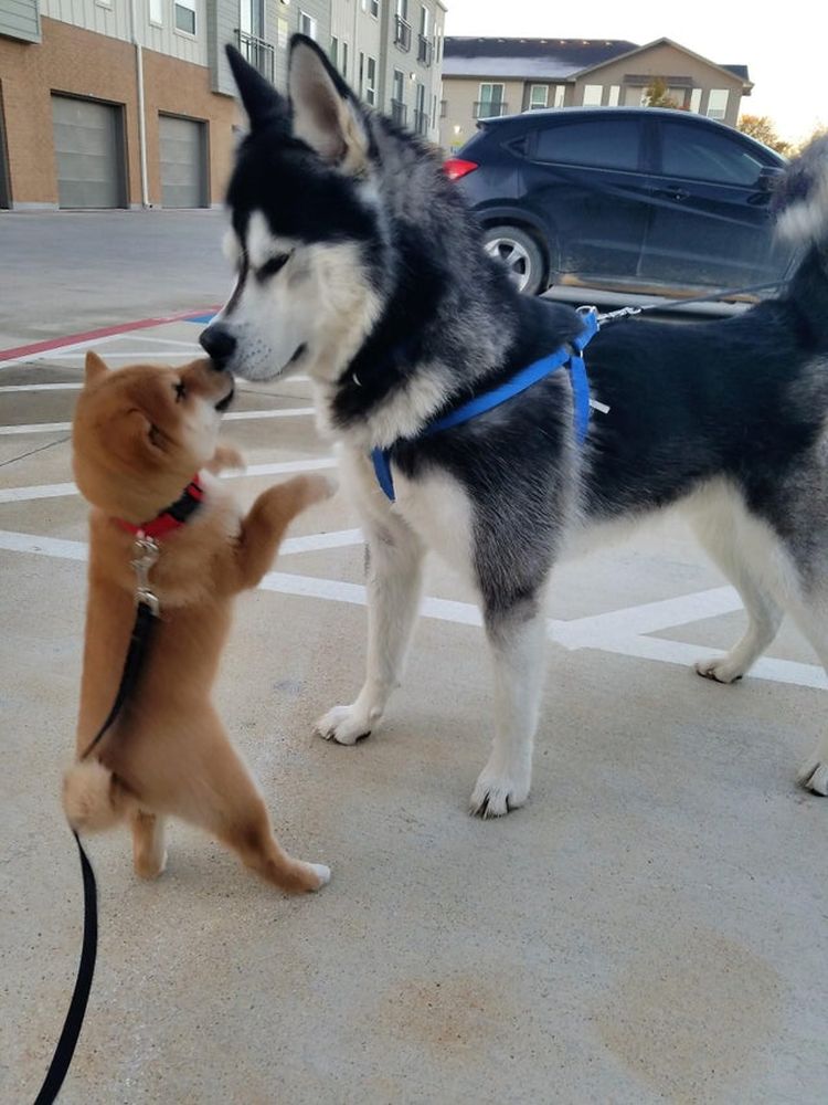 07-15-15-1625487341539358671