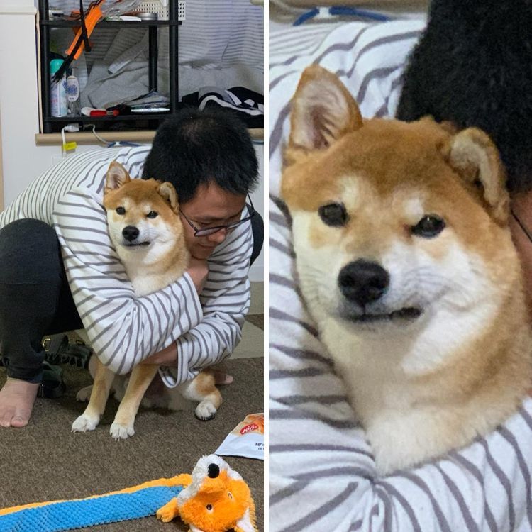 07-15-15-16254873451186862071