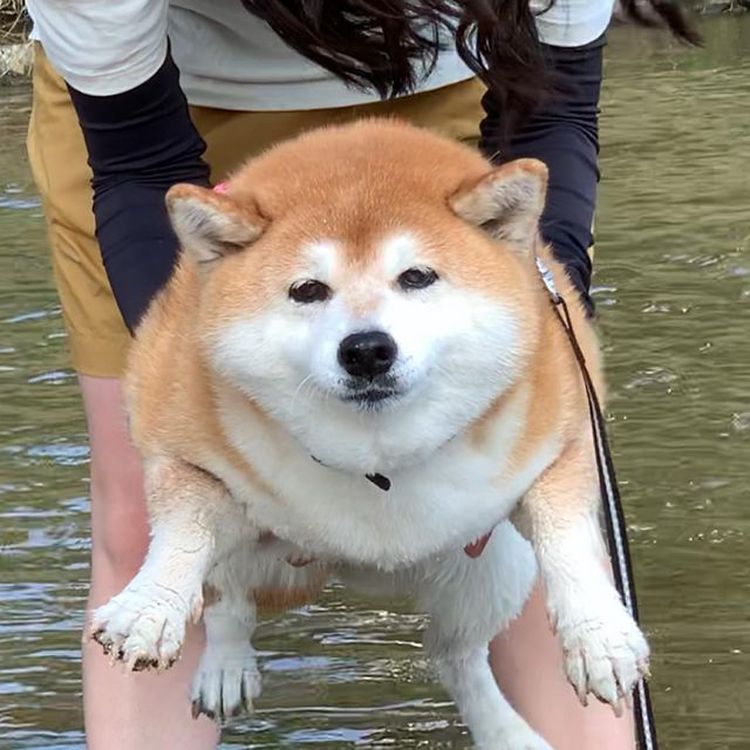 07-15-15-1625487355483298026