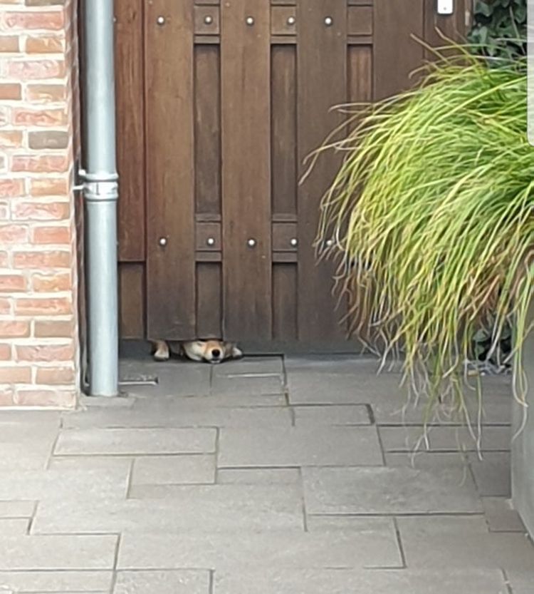 07-15-16-162548736526771622