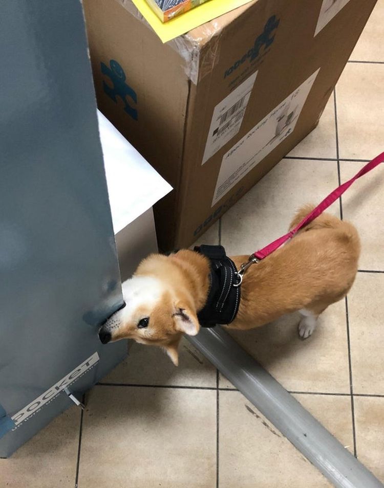 07-15-16-16254873712091616224