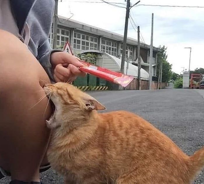 07-15-17-16261786572011769192