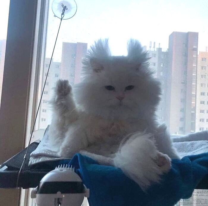 07-15-17-1626178660388473309