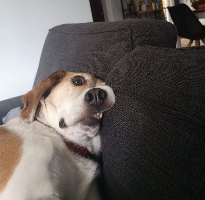 07-15-17-1626178668481501323