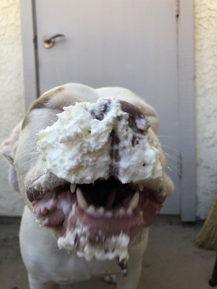 07-15-18-1626178689625699539