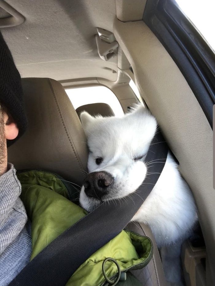 07-15-19-16261787511537781045