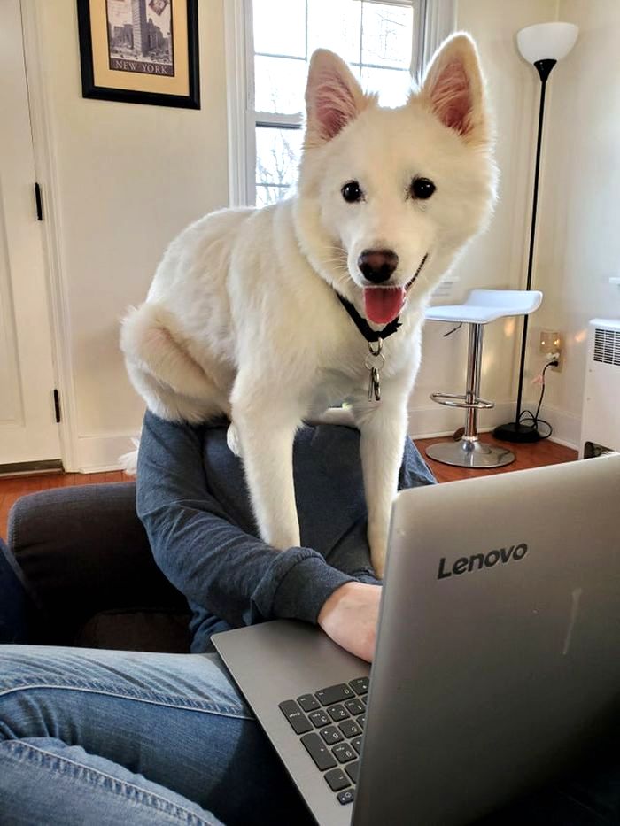 07-15-20-16261788371623037927