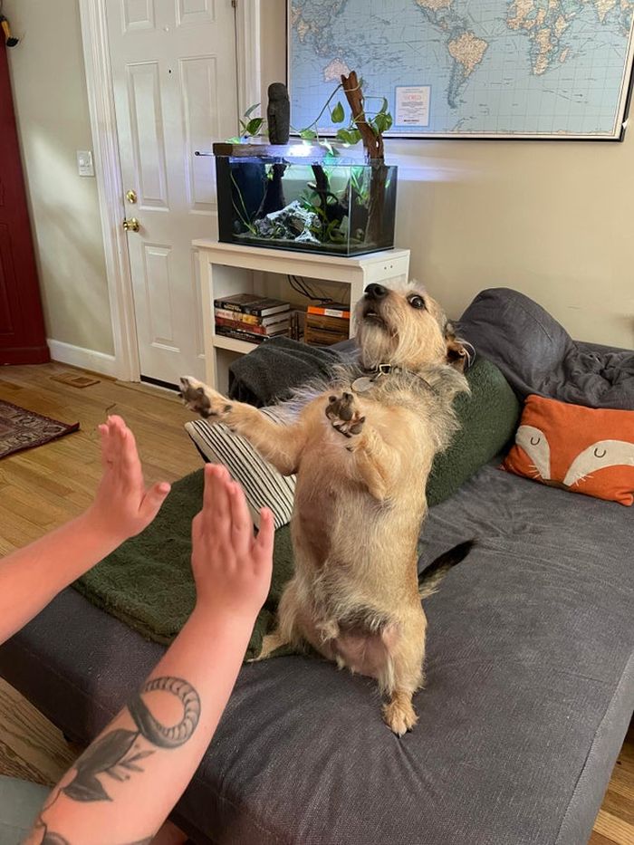 07-15-20-16261788401061442602