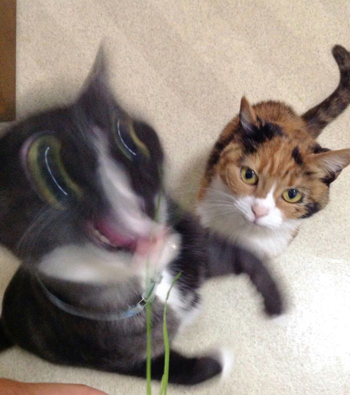 07-15-20-1626178844579633309