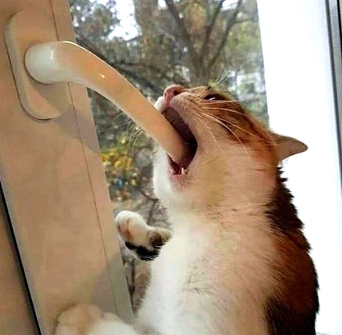 07-15-20-1626178847681347875