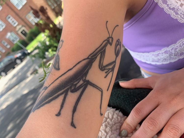 07-15-32-1626006760382171807