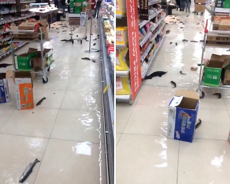 07-15-42-1626266571837519049