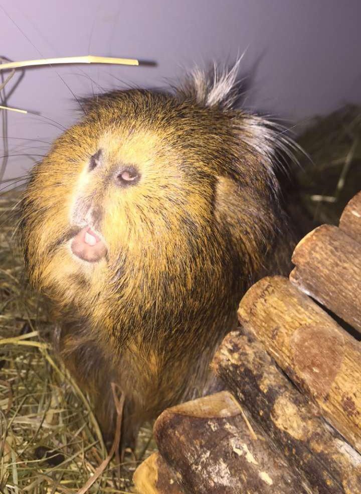 07-15-43-1625834623218284396