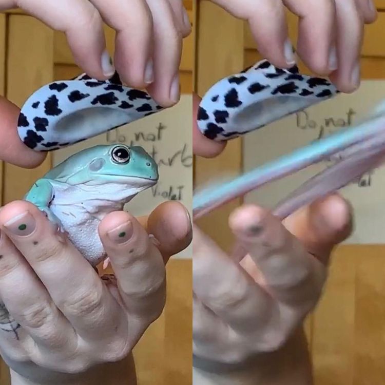 07-15-43-16258346236656489