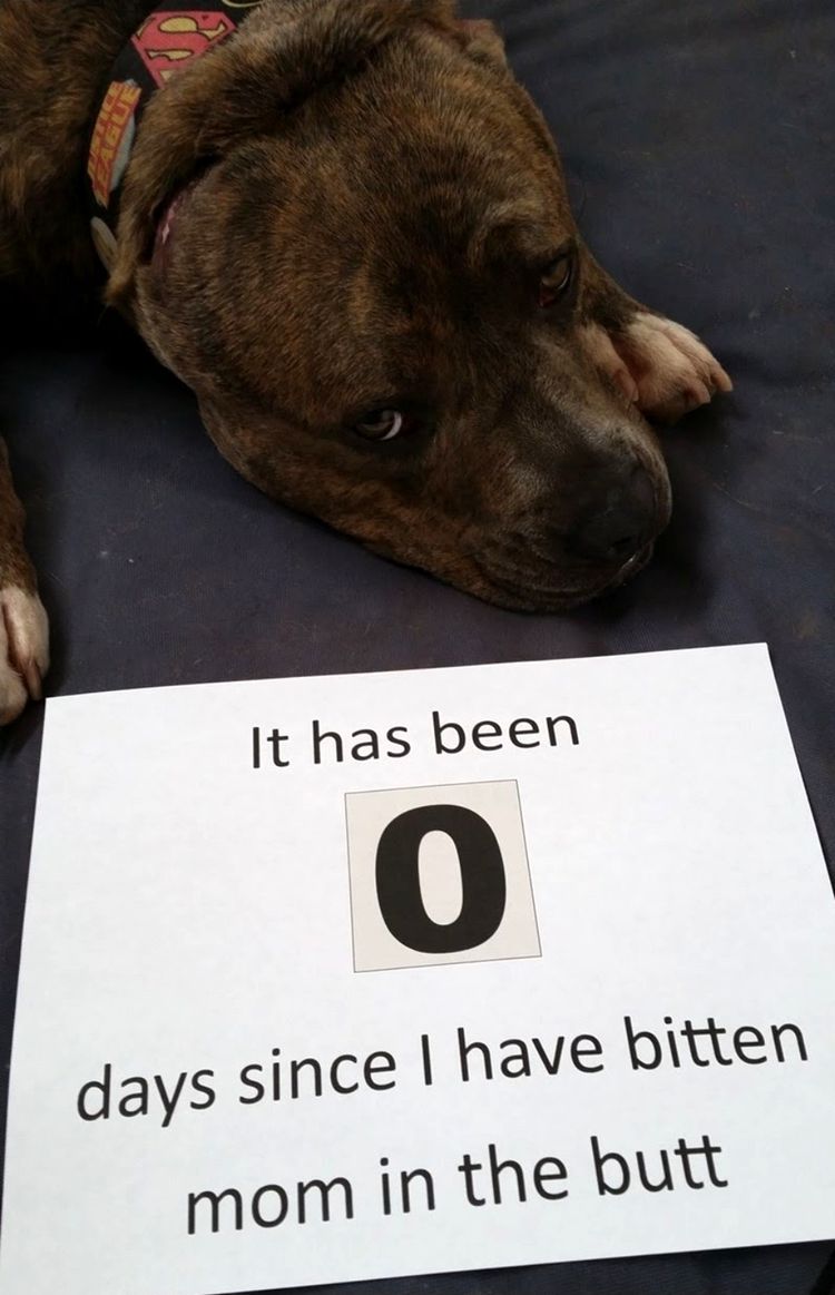 07-15-43-1625834626974718304