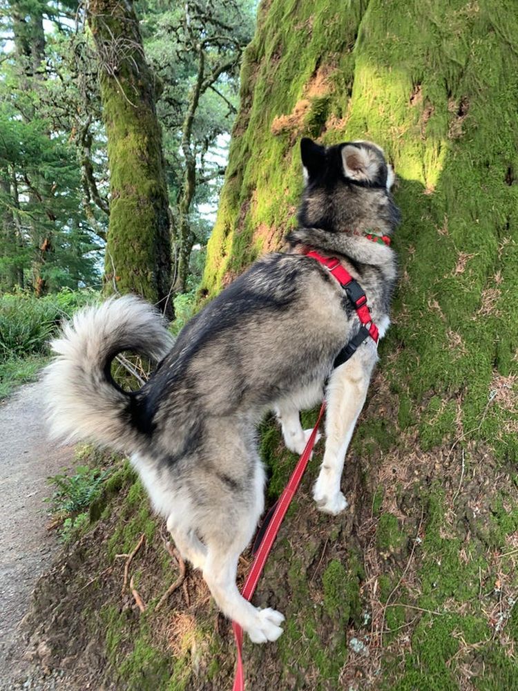 07-15-55-1627476912251687890