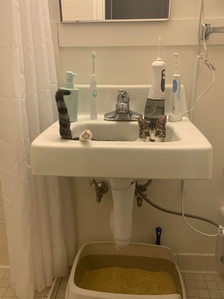 07-15-55-1627476915145835777