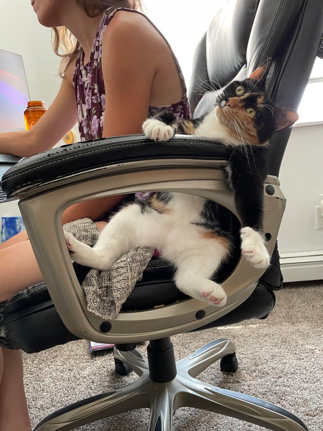 07-15-55-1627476923421331000