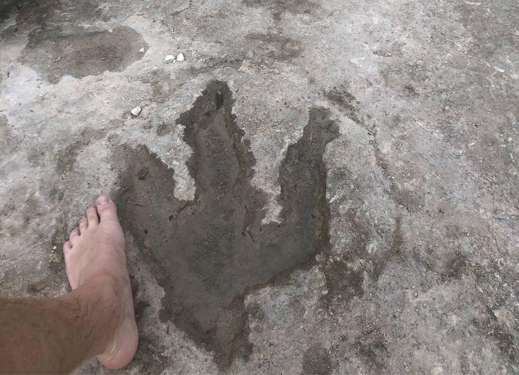 07-15-57-1626008224783356809