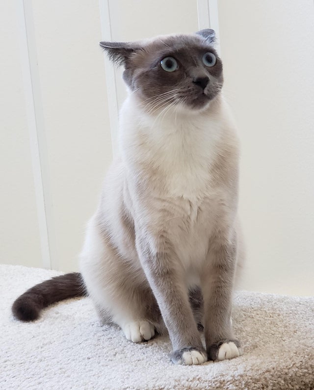 07-16-00-162747725878038446