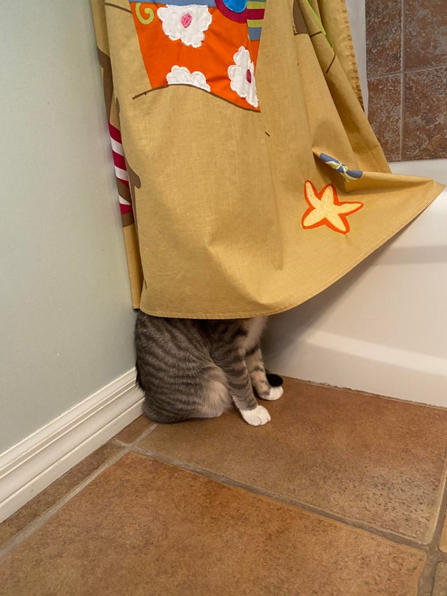 07-16-01-16274772801208844852