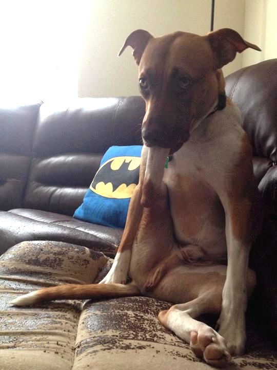 07-16-01-1627477290701060994