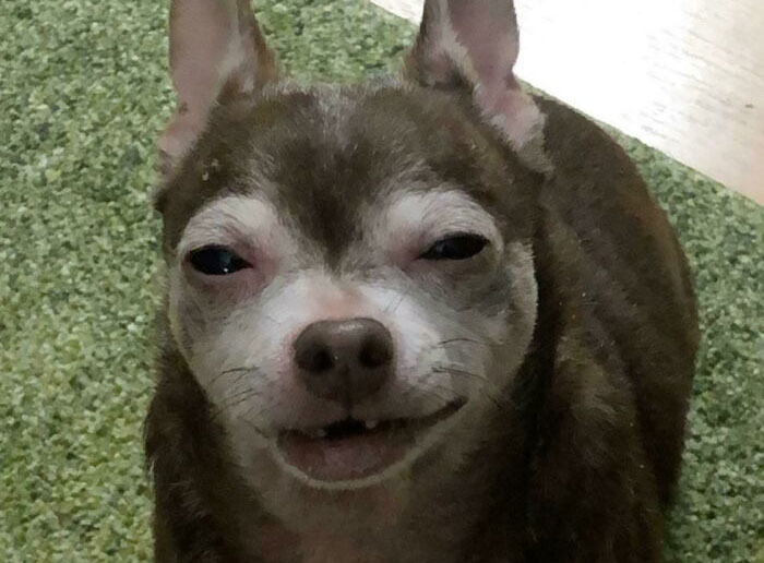 07-16-02-1627477340979591123