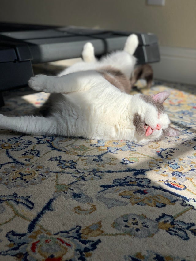 07-16-02-16274773461855172184