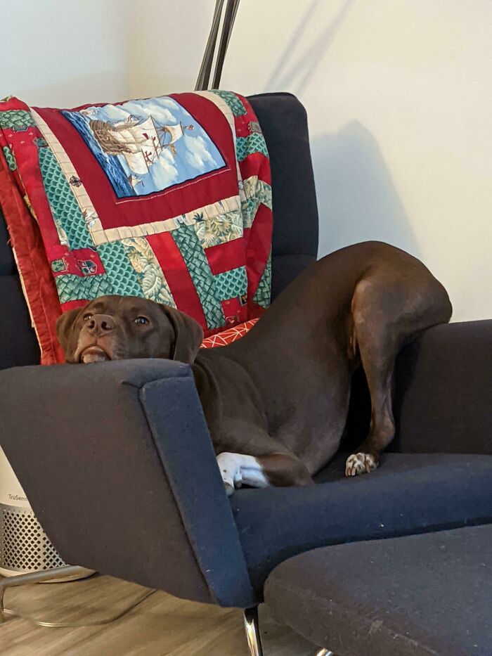 07-16-02-16274773571943736679