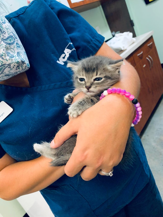 07-16-04-16273910491073308785