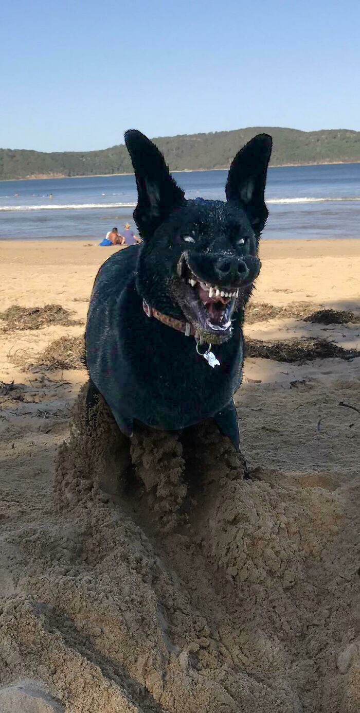 07-16-06-1627477590428674363