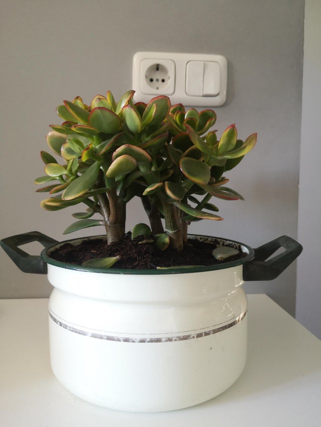 07-16-08-16263544871807682232