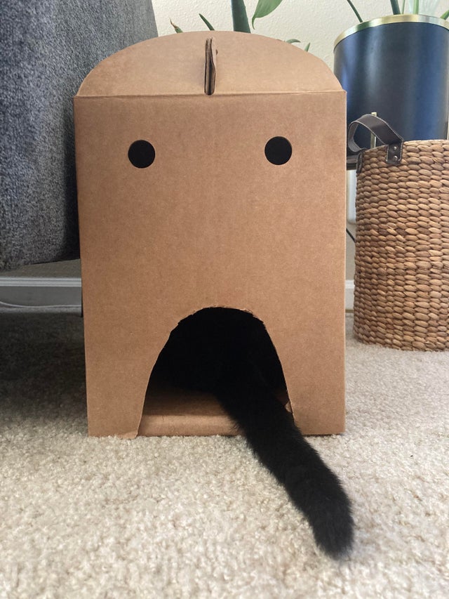 07-16-08-1626354488999600644