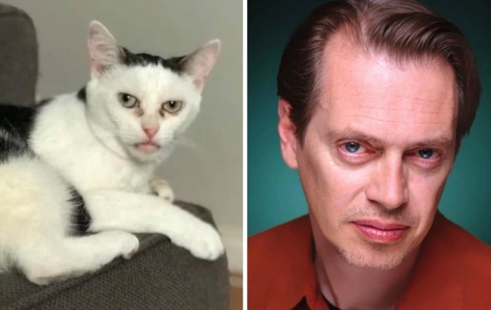 07-16-14-1625663676301046625