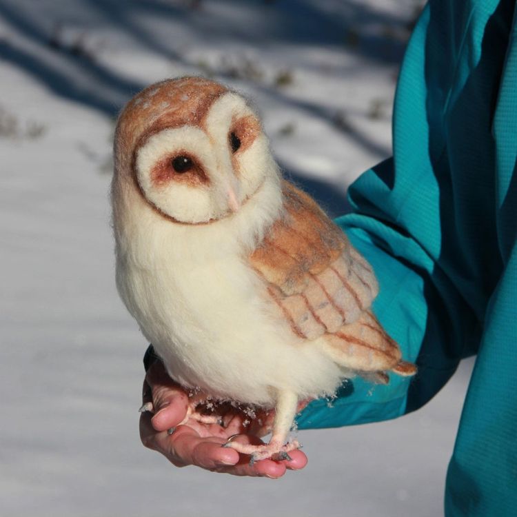 07-16-27-1626269258935051242