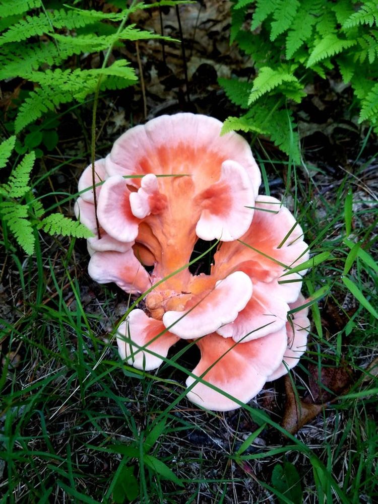 07-16-30-16257510522101688820