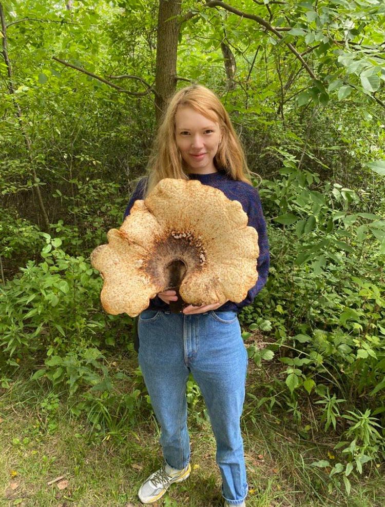 07-16-30-16257510541891742052