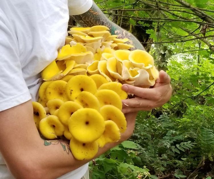 07-16-30-1625751058305687638